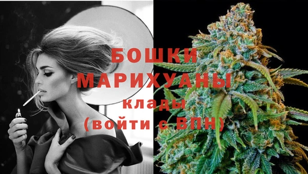 сатива Нефтегорск