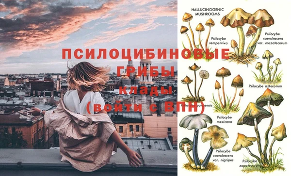 скорость Новодвинск