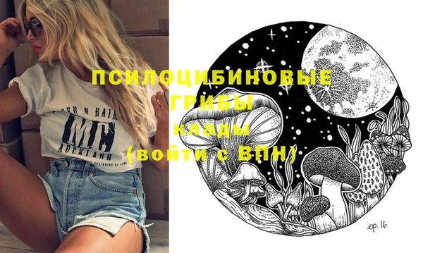 соль курить ск Аша