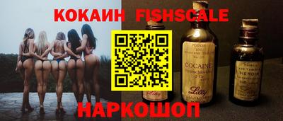 дмт Гатчина