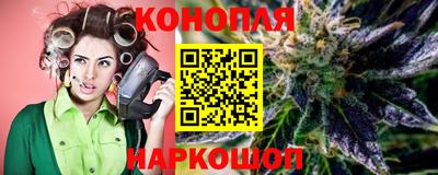 дмт Гатчина