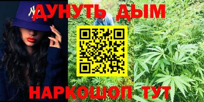дмт Гатчина
