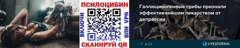 Псилоцибиновые грибы GOLDEN TEACHER  Амурск 