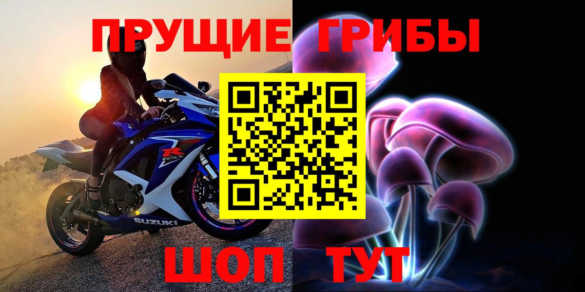 Амурск  Галлюциногенные грибы GOLDEN TEACHER  Вход с VPN  магазин  наркотиков  Псилоцибиновые грибы прущие грибы 