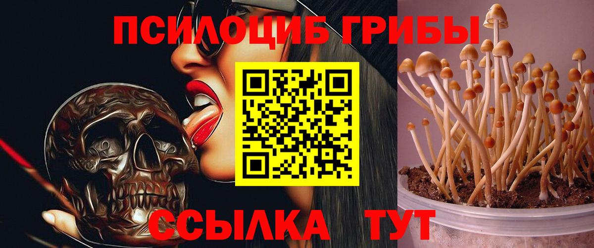 Галлюциногенные грибы мухоморы  Вход с VPN  Псилоцибиновые грибы мицелий  Амурск 