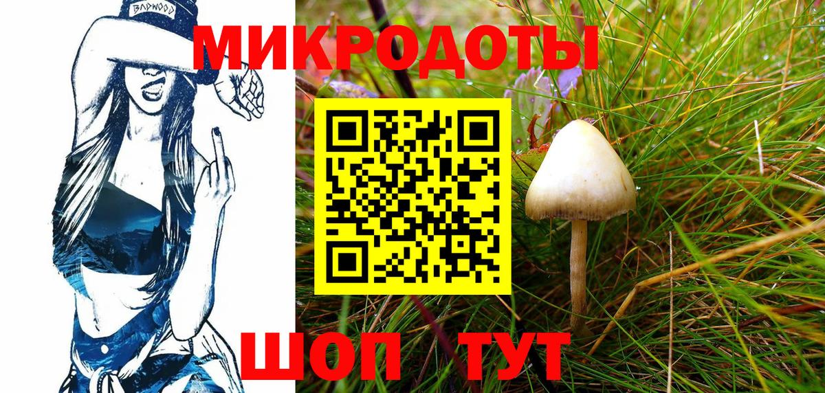 Галлюциногенные грибы Cubensis Амурск
